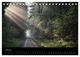 Thumbnail-12