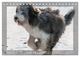 Thumbnail-14