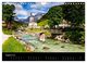 Thumbnail-13