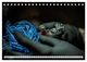 Thumbnail-11