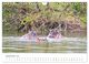 Thumbnail-11
