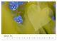 Thumbnail-14