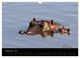 Thumbnail-11