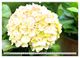 Thumbnail-10