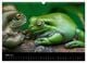 Thumbnail-8