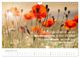 Thumbnail-14