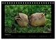 Thumbnail-10
