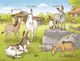 Thumbnail-2
