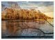 Thumbnail-12