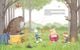 Thumbnail-3