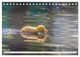 Thumbnail-11