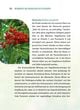 Thumbnail-15