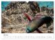 Thumbnail-11