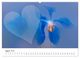 Thumbnail-13