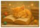 Thumbnail-8