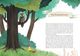 Thumbnail-4