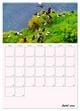 Thumbnail-11
