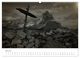 Thumbnail-12