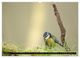 Thumbnail-11