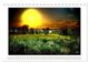 Thumbnail-11