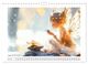 Thumbnail-10