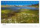 Thumbnail-11