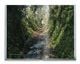 Thumbnail-10