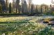 Thumbnail-13
