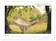 Thumbnail-11