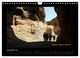 Thumbnail-14