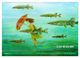 Thumbnail-11