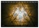 Thumbnail-11