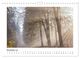 Thumbnail-13