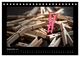Thumbnail-11