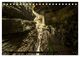 Thumbnail-11