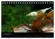 Thumbnail-14