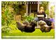 Thumbnail-11
