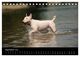 Thumbnail-14