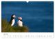 Thumbnail-11
