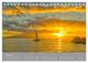 Thumbnail-11
