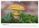 Thumbnail-14
