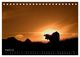 Thumbnail-13