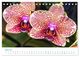 Thumbnail-9