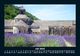 Thumbnail-11