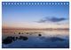 Thumbnail-8