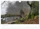Thumbnail-13