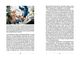 Thumbnail-9