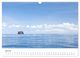 Thumbnail-12