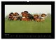 Thumbnail-8