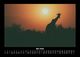 Thumbnail-9